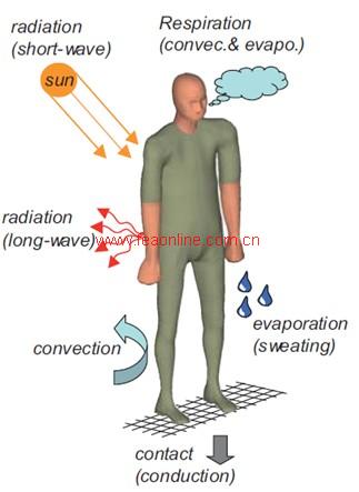  热舒适性计算核心